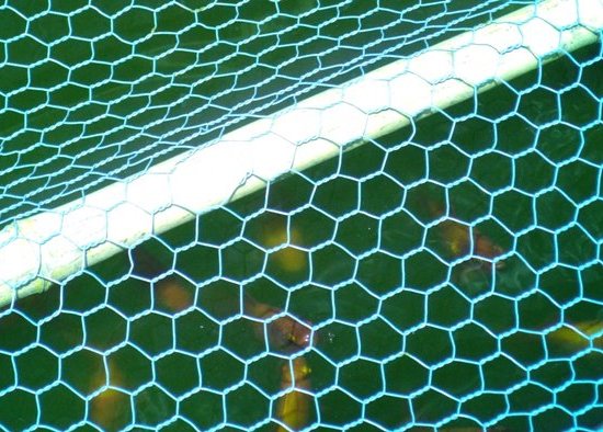 photo06.JPG